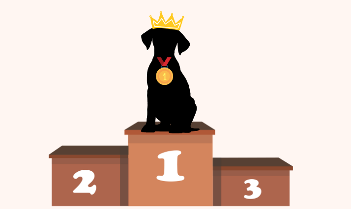 Quelle est LA race de chien la plus mignonne ? Découvrez notre top 10 ! 1 Quelle est LA race de chien la plus mignonne ? Découvrez notre top 10 ! Design sans titre 26 Quelle est LA race de chien la plus mignonne ? Découvrez notre top 10 !