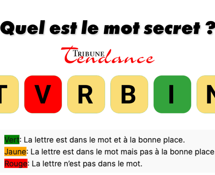 game virale image brunit 1 Déchiffrez ce mot de 6 lettres pour stimuler votre esprit!