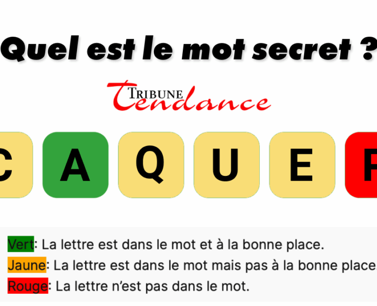 game virale image sacque 1 Déchiffrez ce mot de 6 lettres pour stimuler votre esprit!