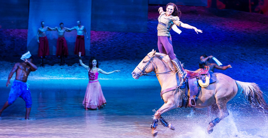 Capture decran 2025 05 05 095920 Une fin triste pour Cavalia, ce spectacle qui a émerveillé le monde