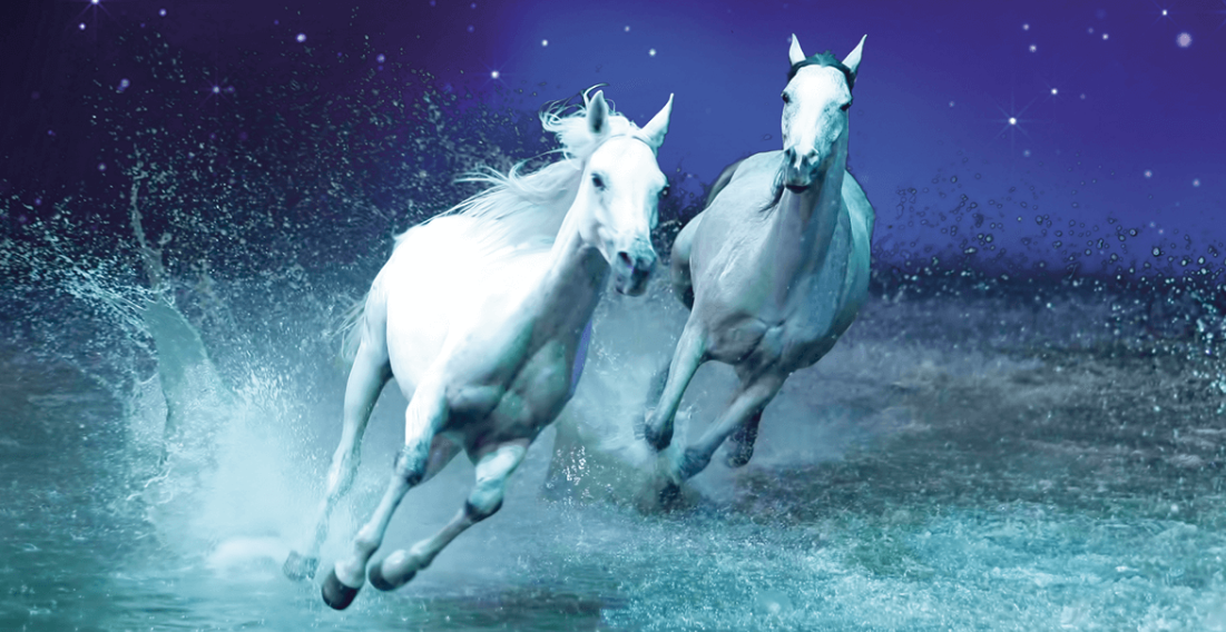 Capture decran 2025 05 05 100036 Une fin triste pour Cavalia, ce spectacle qui a émerveillé le monde