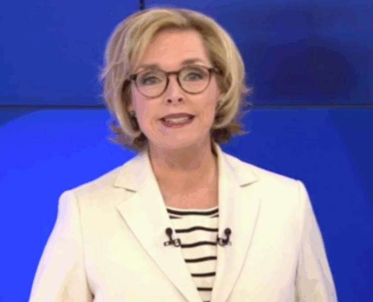 Capture decran 2025 05 09 095529 Sophie Thibault dévoile de rares photos avec sa conjointe adorée