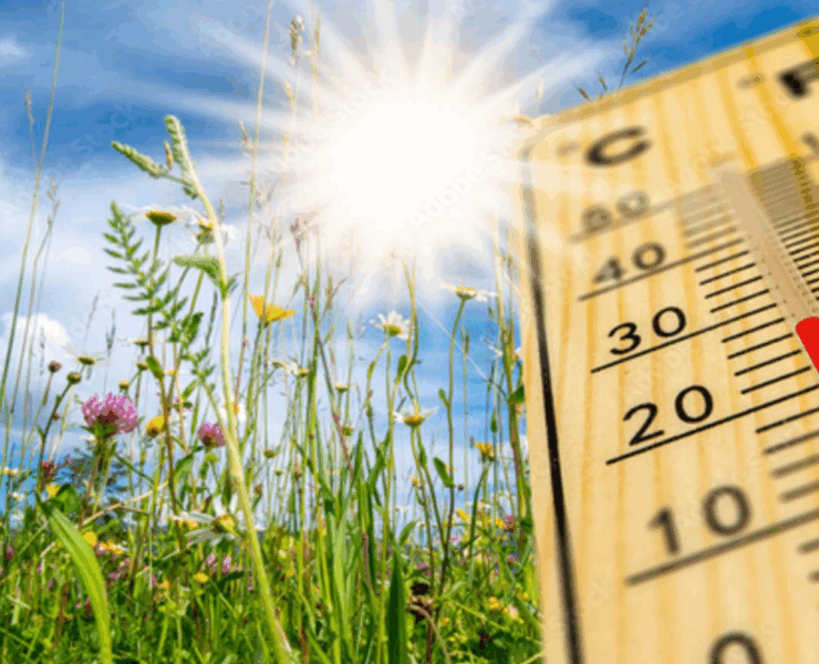 Capture decran 2025 05 12 084138 Voici à quoi devrait ressembler la température de cet été au Québec