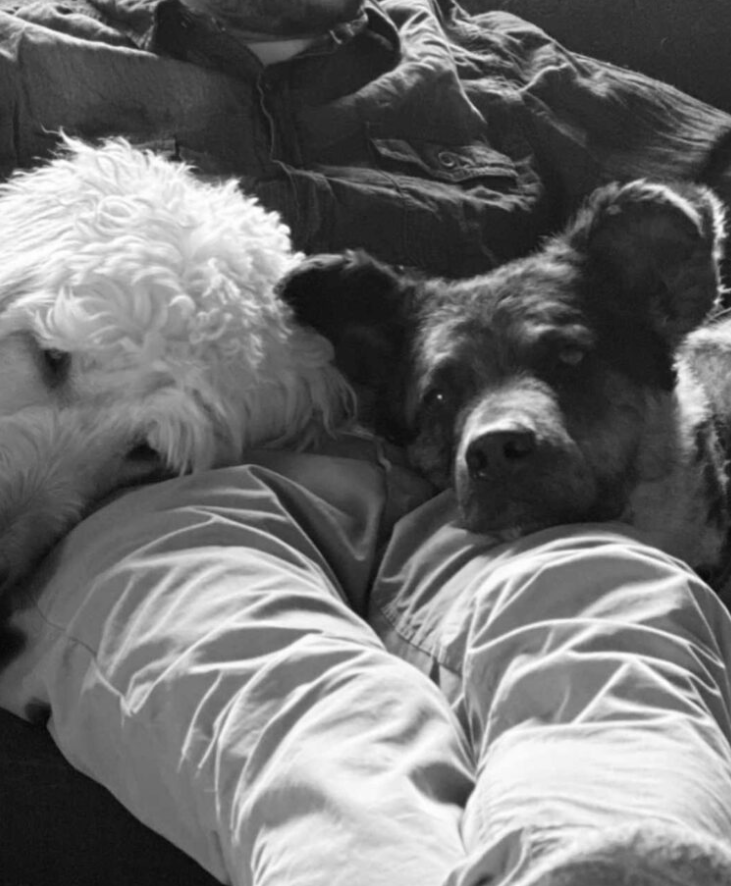 Capture decran 2025 05 17 121656 Mélanie Maynard s’exprime et révèle être en deuil depuis quelques heures