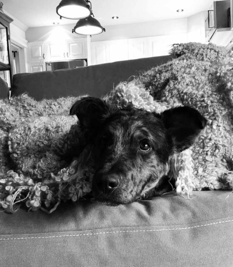 Capture decran 2025 05 17 121703 Mélanie Maynard s’exprime et révèle être en deuil depuis quelques heures