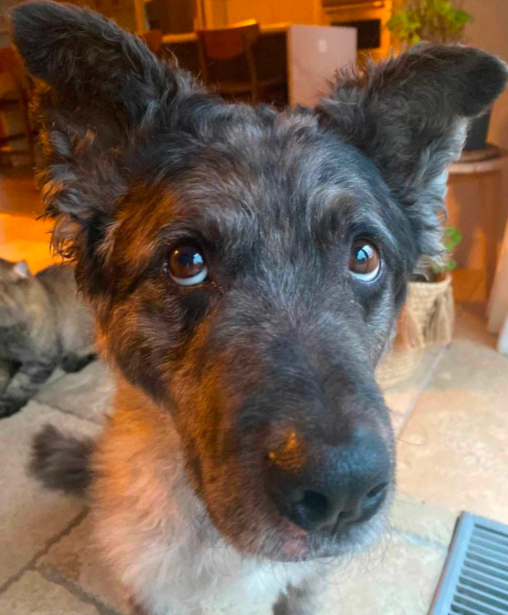 Mélanie Maynard s’exprime et révèle être en deuil depuis quelques heures 4 Mélanie Maynard s’exprime et révèle être en deuil depuis quelques heures Capture decran 2025 05 17 121708 Mélanie Maynard s’exprime et révèle être en deuil depuis quelques heures