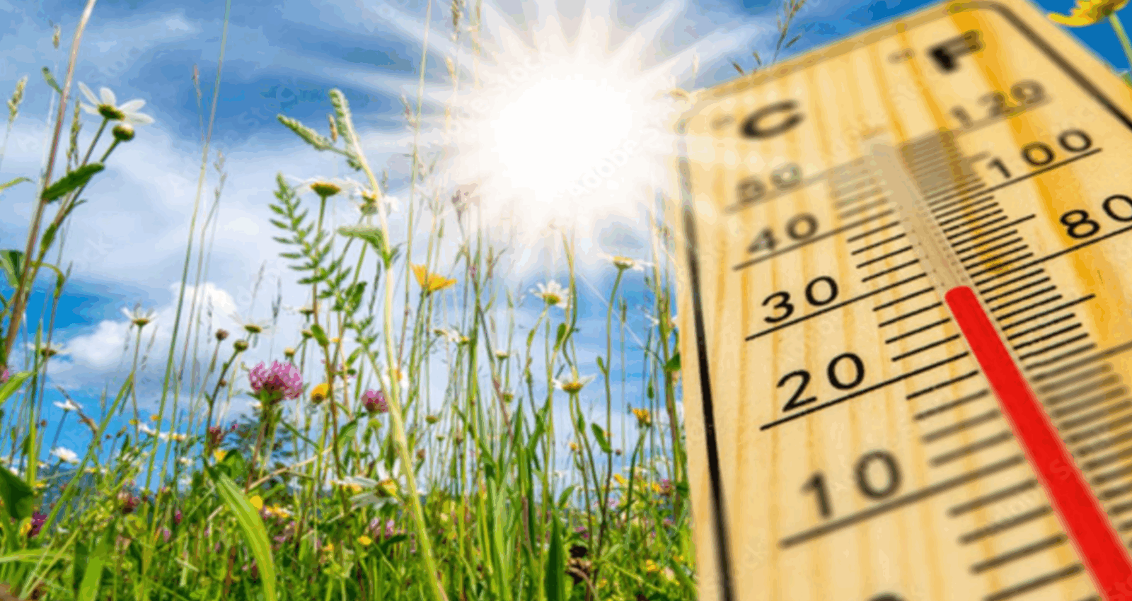 On sait maintenant à quoi va ressembler l'été 2025… et ça ne s’annonce pas très beau! 1 On sait maintenant à quoi va ressembler l'été 2025… et ça ne s’annonce pas très beau! Capture decran 2025 05 29 065229 On sait maintenant à quoi va ressembler l'été 2025… et ça ne s’annonce pas très beau!