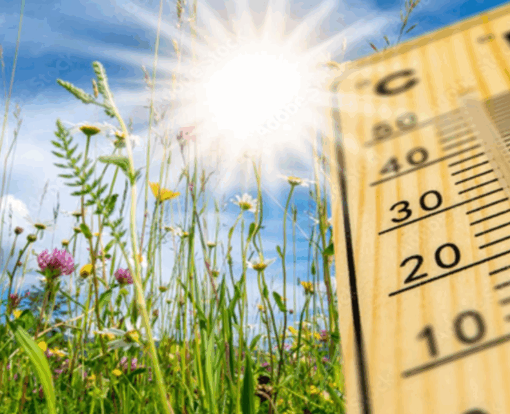 Capture decran 2025 05 29 065229 On sait maintenant à quoi va ressembler l'été 2025… et ça ne s’annonce pas très beau!