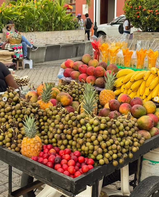 Capture decran 2025 06 02 144714 Géraldine Lamarche nous partage des images sublimes d’un voyage qui fait rêver et un message touchant