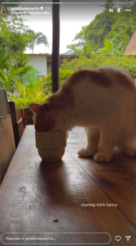 Capture decran 2025 06 02 145257 Géraldine Lamarche nous partage des images sublimes d’un voyage qui fait rêver et un message touchant