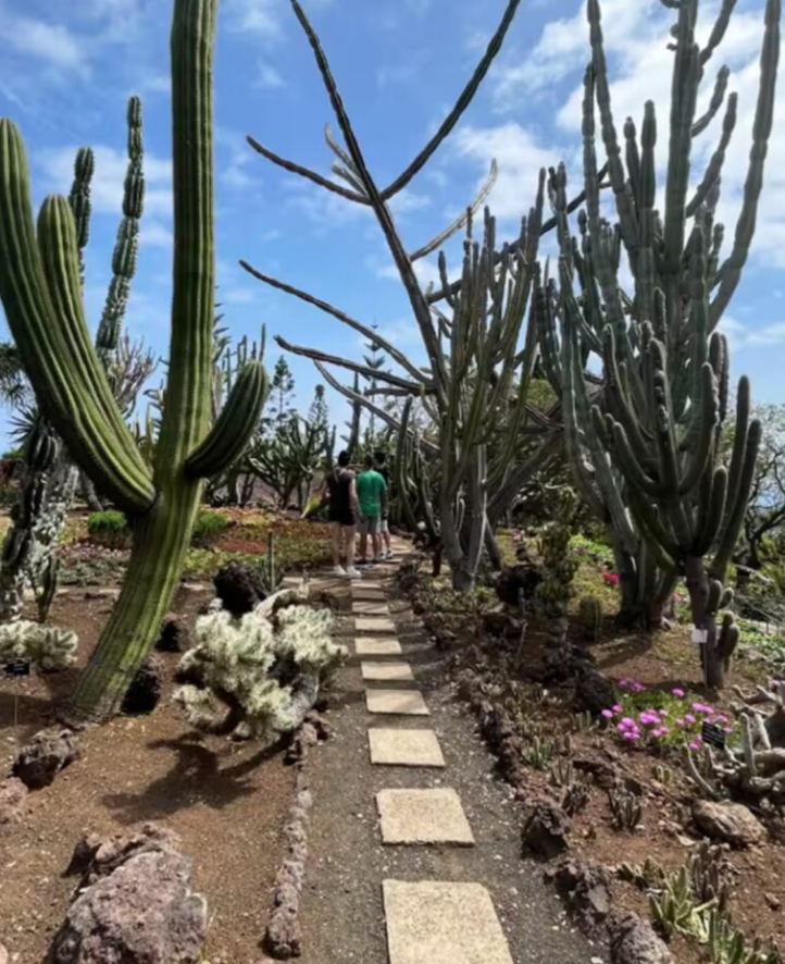 Charles-Antoine Sinotte partage toutes les photos de son voyage romantique avec sa blonde Sophie 5 Charles-Antoine Sinotte partage toutes les photos de son voyage romantique avec sa blonde Sophie Capture decran 2025 06 03 131317 Charles-Antoine Sinotte partage toutes les photos de son voyage romantique avec sa blonde Sophie