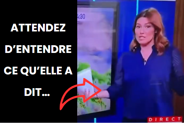 Les propos de cette météorologue à la télé ont fait réagir tout le Québec 1 Les propos de cette météorologue à la télé ont fait réagir tout le Québec Capture decran 2025 06 04 084122 Les propos de cette météorologue à la télé ont fait réagir tout le Québec