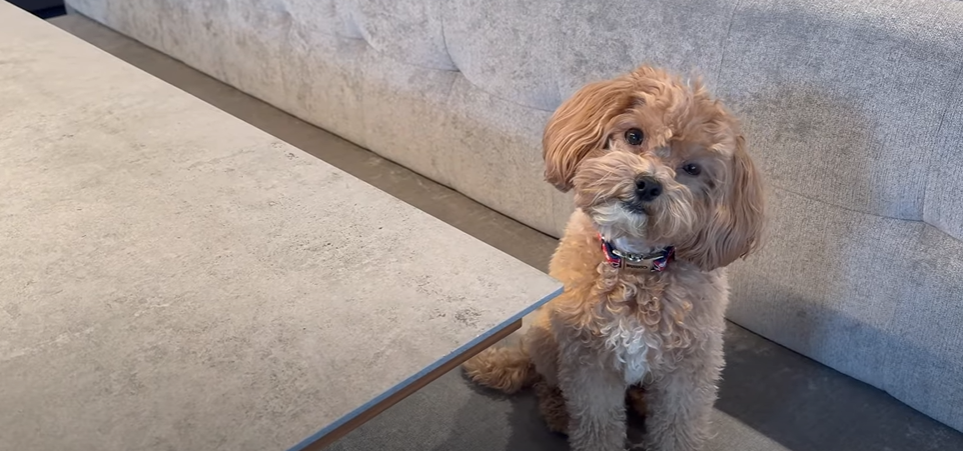 Capture decran 2025 06 06 150829 Tu ne croiras jamais dans quelle maison vit Marc-Antoine de Star Académie