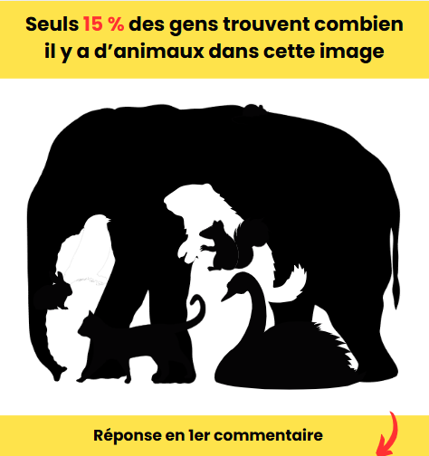 Combien d’animaux voyez-vous dans cette image ? Seuls les plus attentifs trouvent la bonne réponse ! 1 Combien d’animaux voyez-vous dans cette image ? Seuls les plus attentifs trouvent la bonne réponse ! Capture decran 2025 06 15 181126 Combien d’animaux voyez-vous dans cette image ? Seuls les plus attentifs trouvent la bonne réponse !