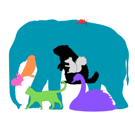 Combien d’animaux voyez-vous dans cette image ? Seuls les plus attentifs trouvent la bonne réponse ! 2 Combien d’animaux voyez-vous dans cette image ? Seuls les plus attentifs trouvent la bonne réponse ! Capture decran 2025 06 15 181521 Combien d’animaux voyez-vous dans cette image ? Seuls les plus attentifs trouvent la bonne réponse !