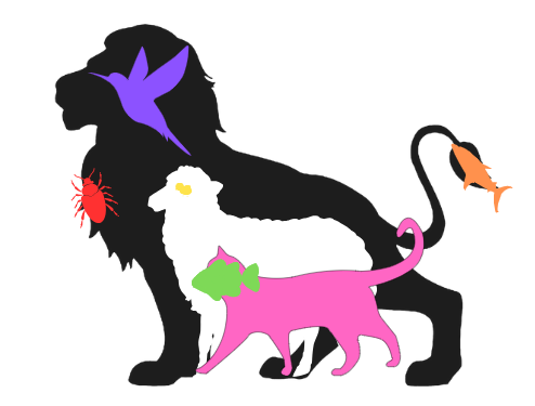 Capture decran 2025 06 19 124129 Combien d’animaux peux-tu repérer dans cette image ? Seuls les plus attentifs trouvent les 8 !