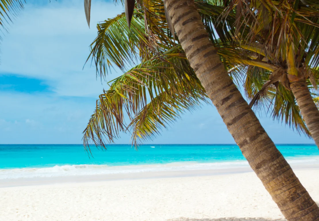 Capture decran 2025 06 23 143326 Peux-tu nommer ces objets d’été à partir d’un zoom extrême ?