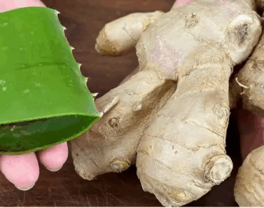 Capture decran 2025 06 27 052859 e1751019276826 Collagène naturel : appliquez-le le soir… et au réveil, votre reflet vous surprendra