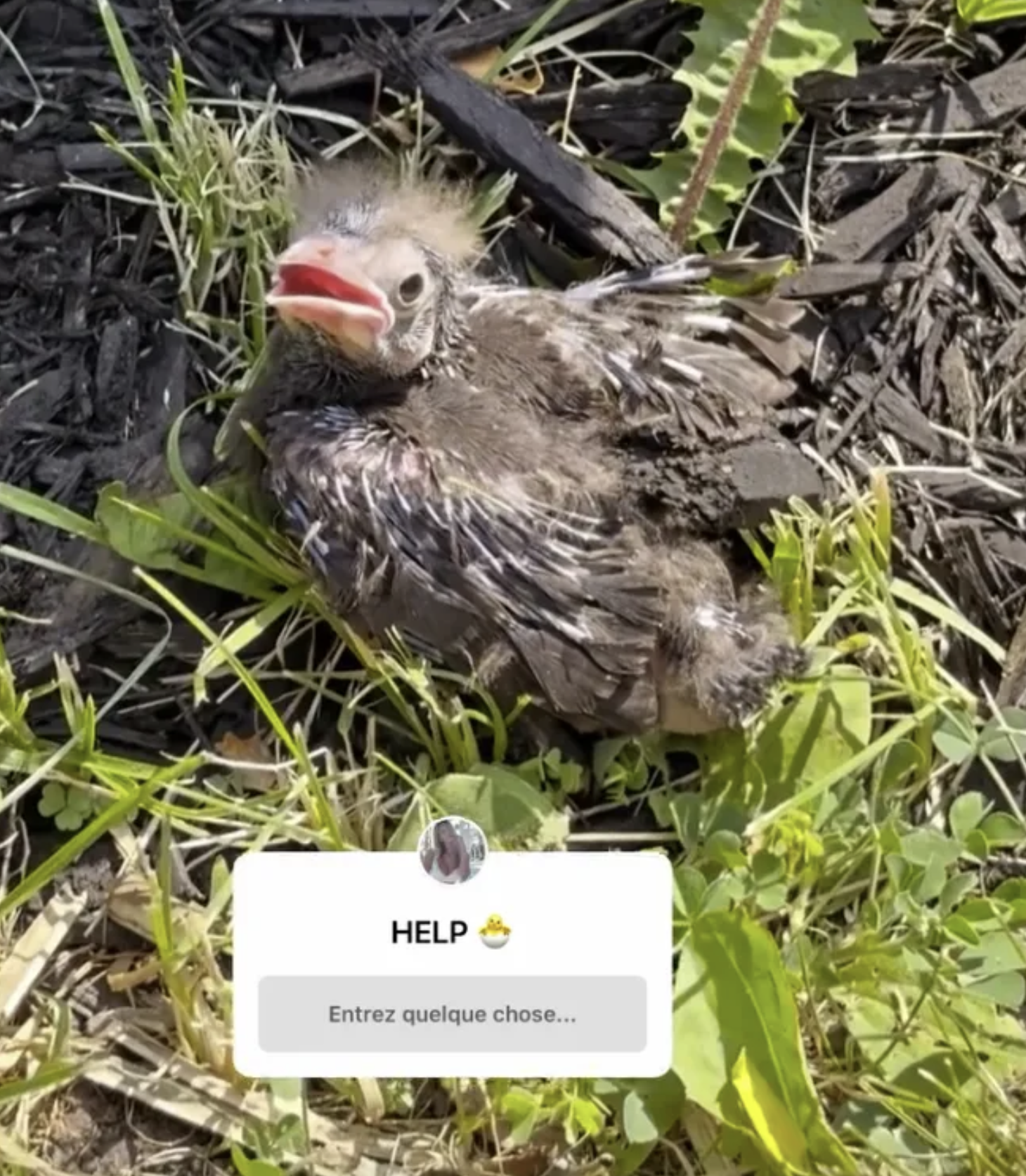 L’ex-conjointe de Mathieu Baron lance un appel à l’aide 2 L’ex-conjointe de Mathieu Baron lance un appel à l’aide Capture decran le 2025 06 25 a 17.45.51 L’ex-conjointe de Mathieu Baron lance un appel à l’aide