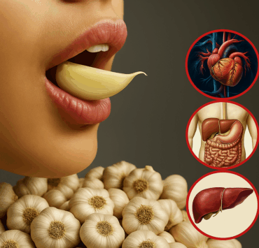 ailcru e1749485200131 Et si une simple gousse d’ail à jeun pouvait transformer votre santé ?