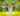 etes Solstice d’été : voyez ce qui change pour votre signe !