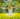 etes Solstice d’été : voyez ce qui change pour votre signe !