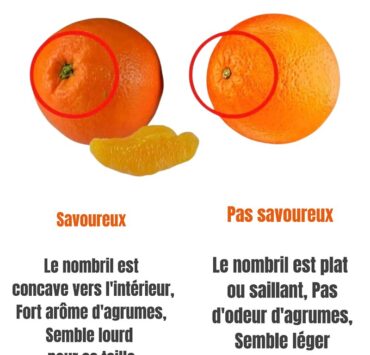 Comment choisir les meilleures mandarines ? 3 Comment choisir les meilleures mandarines ? fruits Comment choisir les meilleures mandarines ?