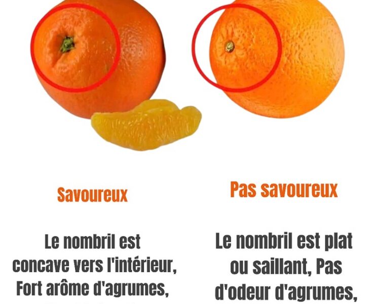 fruits Comment choisir les meilleures mandarines ?