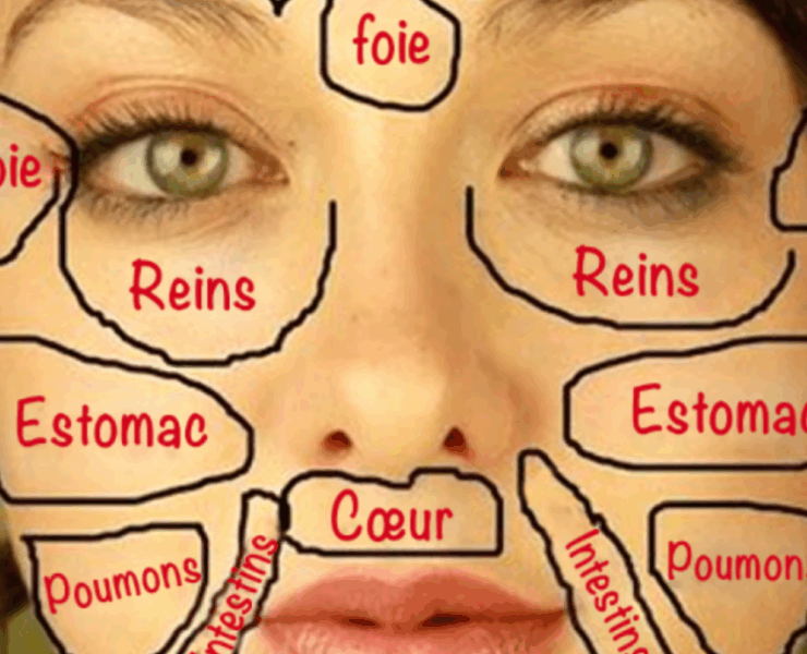 Capture decran 2025 07 04 021602 Cete carte chinoise du visage révèle quel organe pourrait être en déséquilibre selon l’endroit où apparaissent vos boutons ou rougeurs