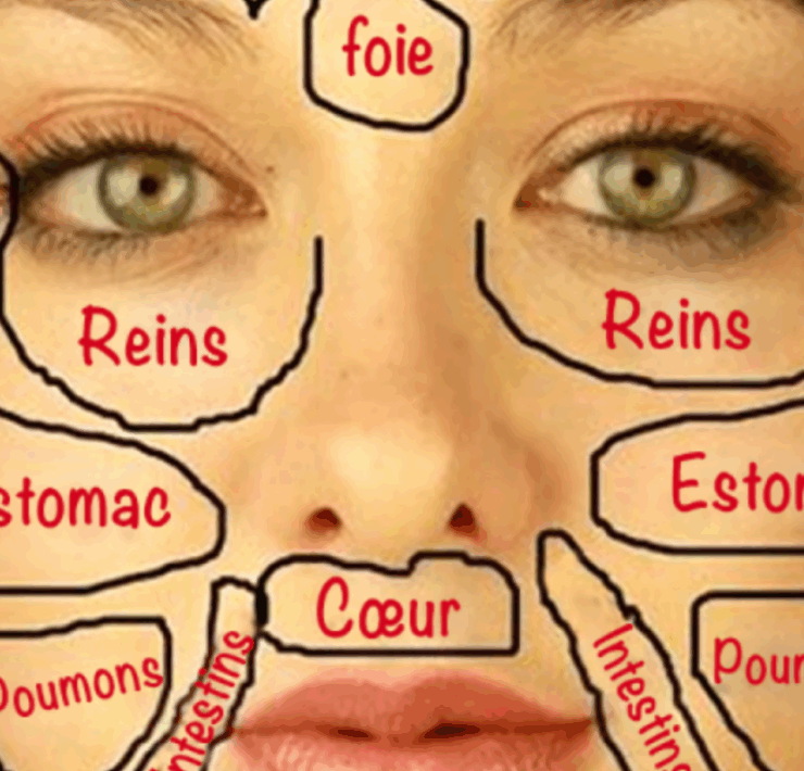 Capture decran 2025 07 04 021602 Cete carte chinoise du visage r&eacute;v&egrave;le quel organe pourrait &ecirc;tre en d&eacute;s&eacute;quilibre selon l&rsquo;endroit o&ugrave; apparaissent vos boutons ou rougeurs