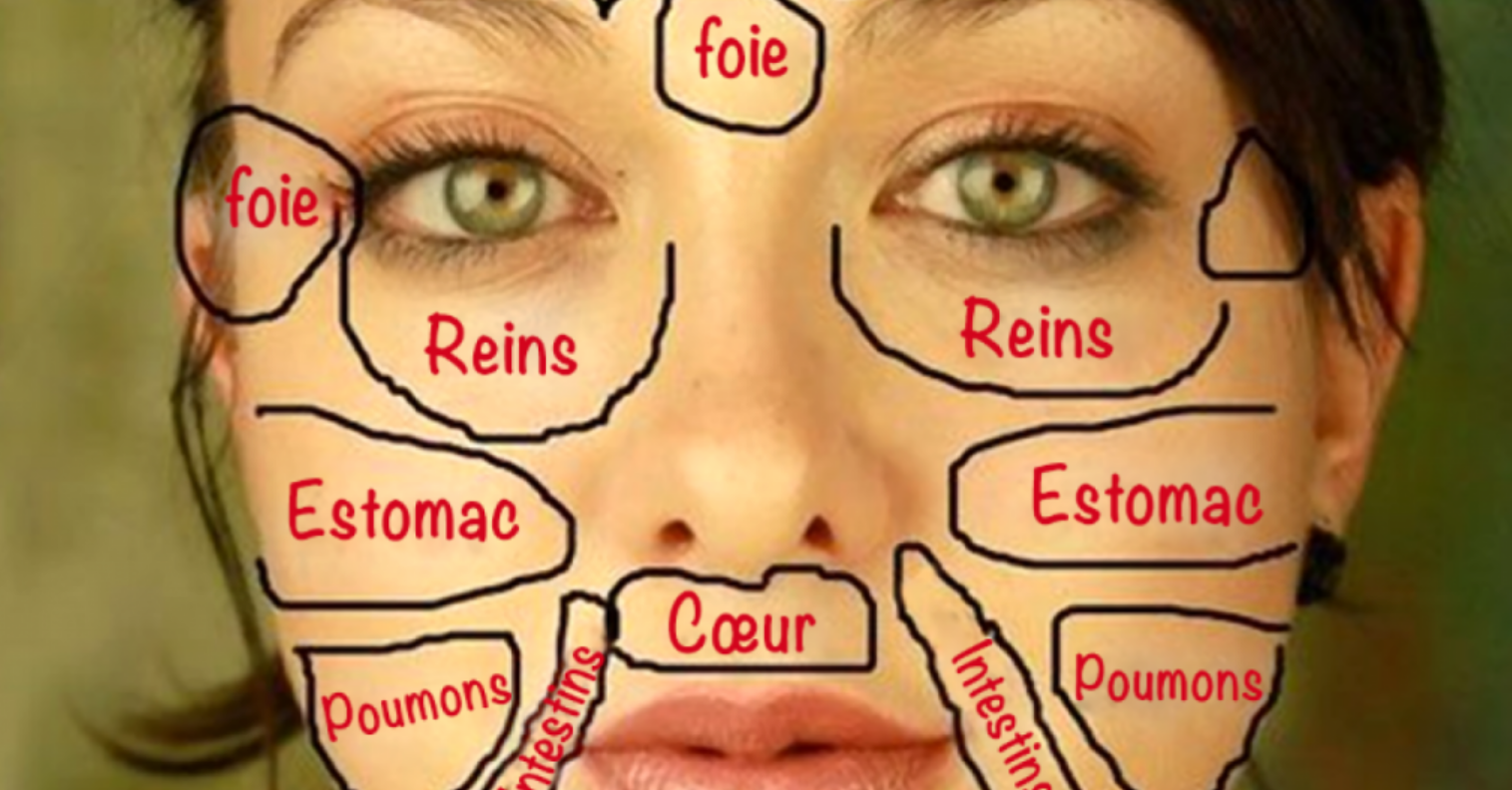 Cete carte chinoise du visage révèle quel organe pourrait être en déséquilibre selon l’endroit où apparaissent vos boutons ou rougeurs 1 Cete carte chinoise du visage révèle quel organe pourrait être en déséquilibre selon l’endroit où apparaissent vos boutons ou rougeurs Capture decran 2025 07 04 021602 Cete carte chinoise du visage révèle quel organe pourrait être en déséquilibre selon l’endroit où apparaissent vos boutons ou rougeurs