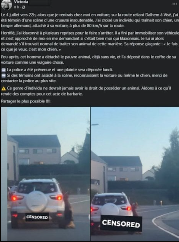 Capture decran 2025 07 08 073307 Il traîne son chien derrière sa voiture… sa maison est incendiée en représailles