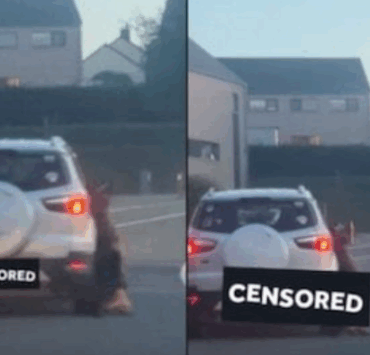 Capture decran 2025 07 08 073318 Il traîne son chien derrière sa voiture… sa maison est incendiée en représailles