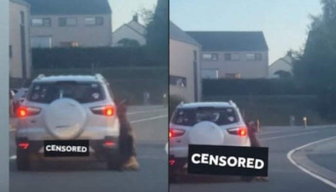 Il traîne son chien derrière sa voiture… sa maison est incendiée en représailles 1 Il traîne son chien derrière sa voiture… sa maison est incendiée en représailles Capture decran 2025 07 08 073318 Il traîne son chien derrière sa voiture… sa maison est incendiée en représailles