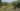 Capture decran 2025 07 09 053157 Il coupe 16 arbres centenaires sur le terrain de sa voisine… juste pour avoir une meilleure vue sur l’océan !