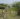Capture decran 2025 07 09 053157 Il coupe 16 arbres centenaires sur le terrain de sa voisine… juste pour avoir une meilleure vue sur l’océan !