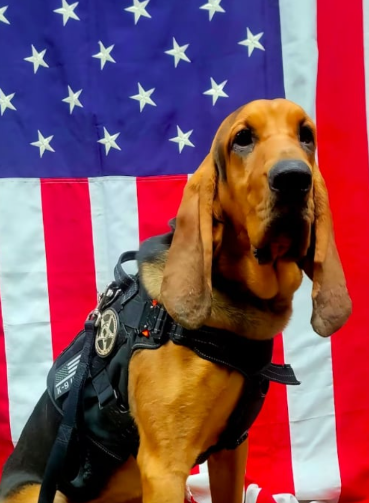 Tragédie en Géorgie : un chien policier meurt de chaud après avoir été oublié dans une voiture en plein soleil 1 Tragédie en Géorgie : un chien policier meurt de chaud après avoir été oublié dans une voiture en plein soleil Capture decran 2025 07 17 032649 Tragédie en Géorgie : un chien policier meurt de chaud après avoir été oublié dans une voiture en plein soleil