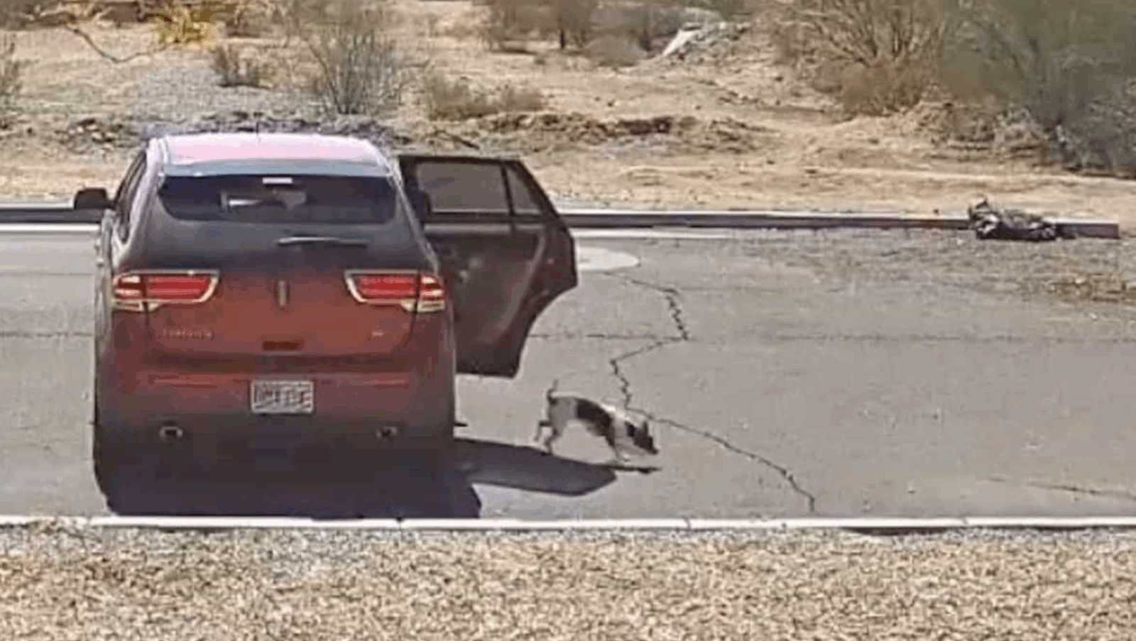 Une caméra filme un homme abandonnant son chiot avec un "bye bye" glaçant — les images brisent le cœur du web 1 Une caméra filme un homme abandonnant son chiot avec un "bye bye" glaçant — les images brisent le cœur du web Capture decran 2025 07 21 032635 Une caméra filme un homme abandonnant son chiot avec un "bye bye" glaçant — les images brisent le cœur du web
