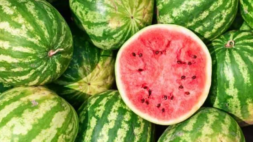 Alerte chez Costco : des melons d’eau explosent spontanément chez des clients québécois 2 Alerte chez Costco : des melons d’eau explosent spontanément chez des clients québécois Capture decran 2025 07 27 042637 Alerte chez Costco : des melons d’eau explosent spontanément chez des clients québécois