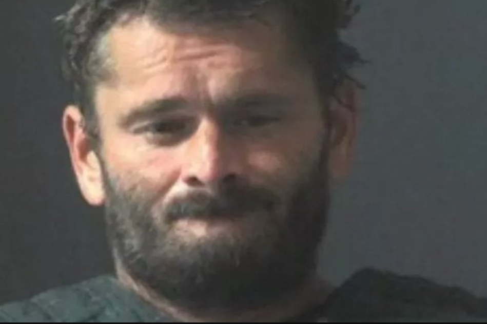 Capture decran 2025 07 28 021651 Il tue son chihuahua en le mettant vivant dans un four allumé parce qu’il aboyait trop