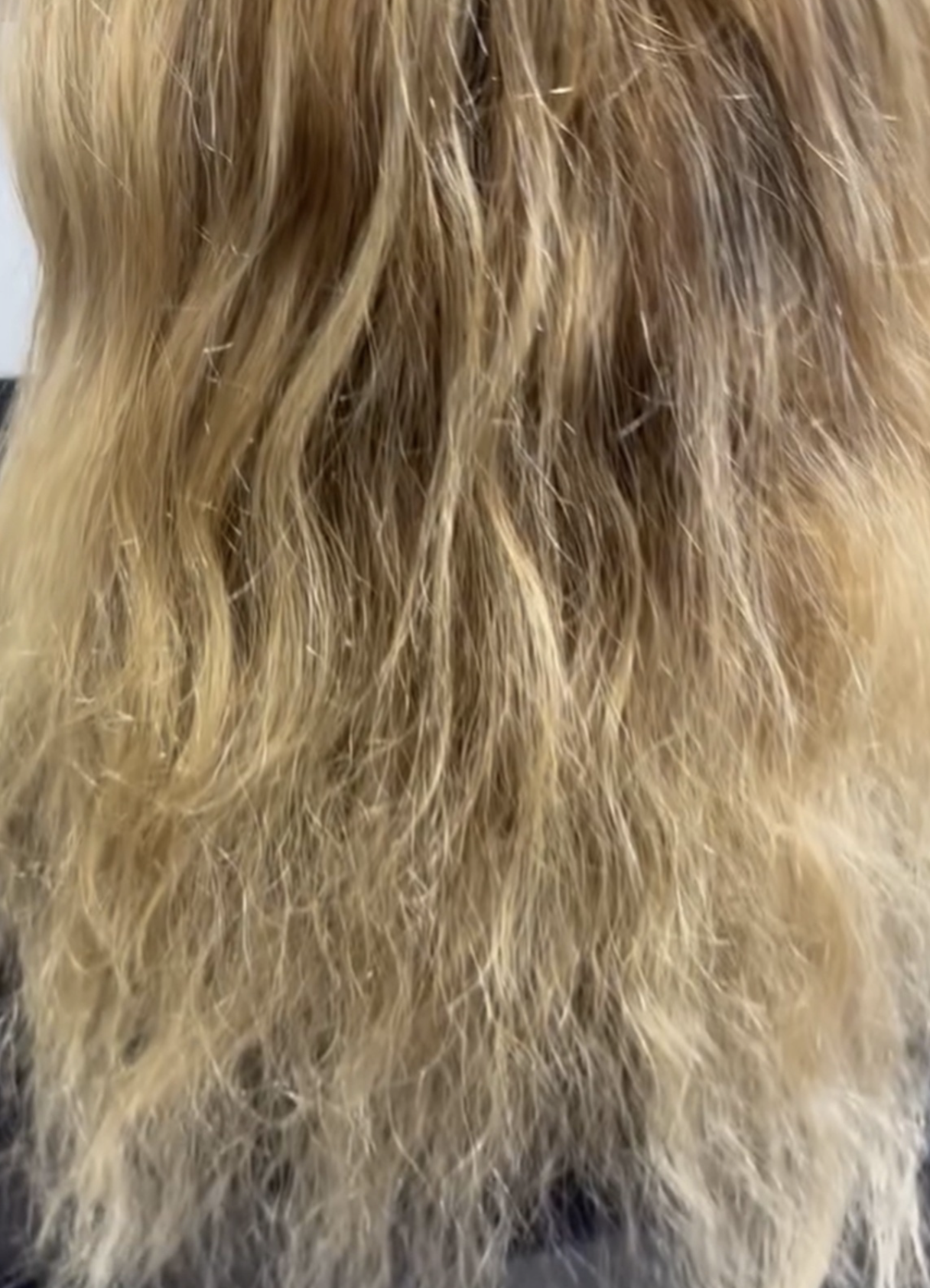 Capture decran le 2025 07 03 a 14.06.54 Nouvelle tête pour la saison chaude : Julie Ringuette se métamorphose