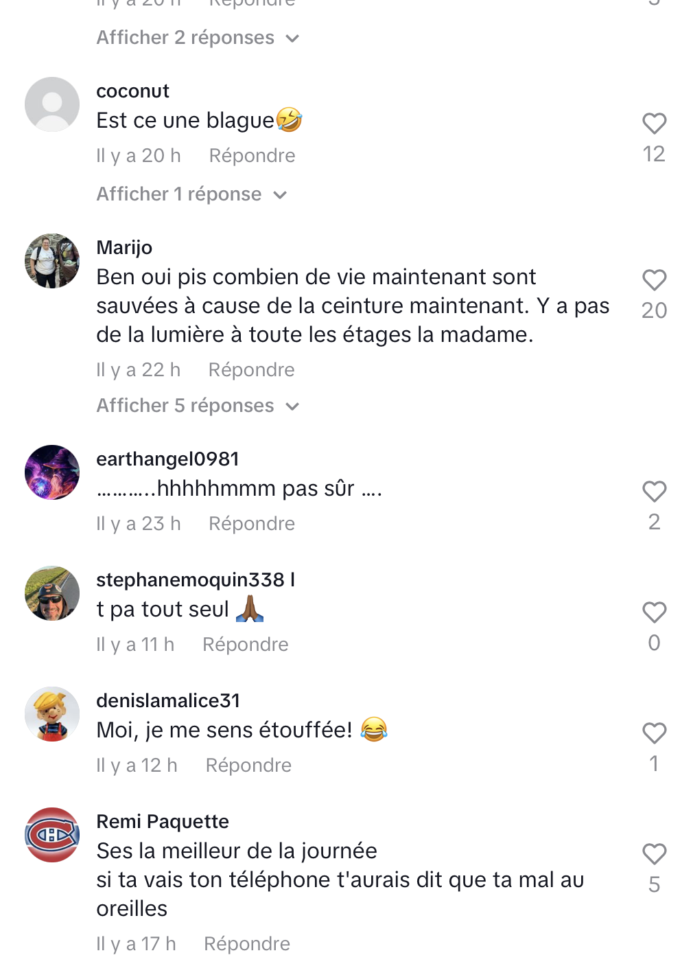 Capture decran le 2025 07 22 a 10.49.47 Annie Dufresne arrêtée en voiture : elle justifie son rejet de la ceinture de sécurité