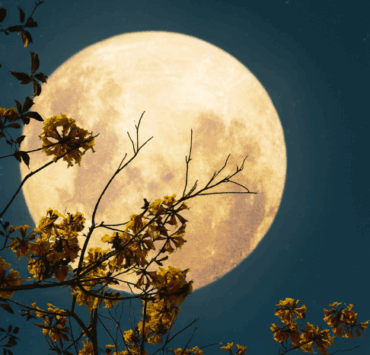 Cette Pleine Lune d’août 2025 va complètement transformer les vacances de ces 3 signes astrologiques 3 Cette Pleine Lune d’août 2025 va complètement transformer les vacances de ces 3 signes astrologiques Capture decran 2025 08 03 044617 Cette Pleine Lune d’août 2025 va complètement transformer les vacances de ces 3 signes astrologiques