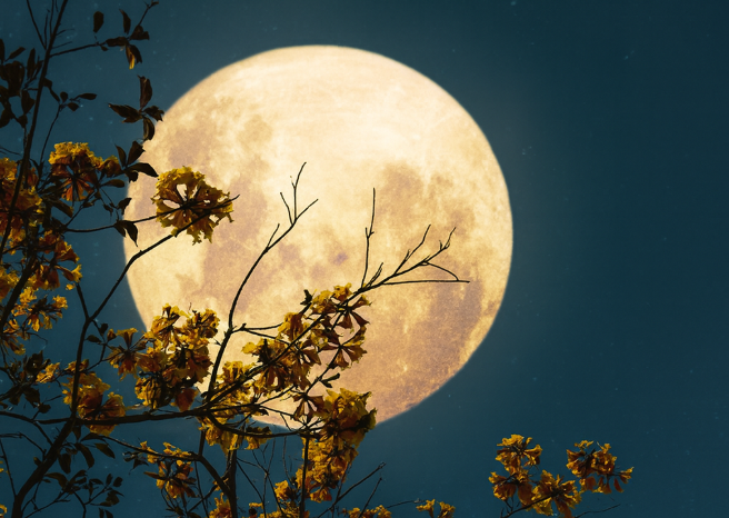 Cette Pleine Lune d’août 2025 va complètement transformer les vacances de ces 3 signes astrologiques 1 Cette Pleine Lune d’août 2025 va complètement transformer les vacances de ces 3 signes astrologiques Capture decran 2025 08 03 044617 Cette Pleine Lune d’août 2025 va complètement transformer les vacances de ces 3 signes astrologiques
