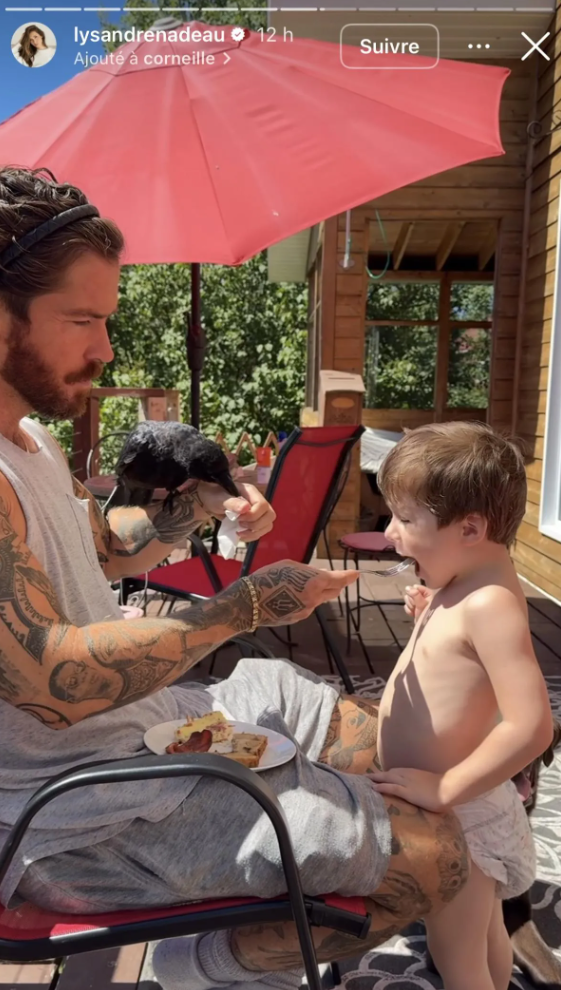 Capture decran 2025 08 05 041232 Lysandre Nadeau en deuil : Jasette, la corneille au grand cœur, s’est envolée pour toujours