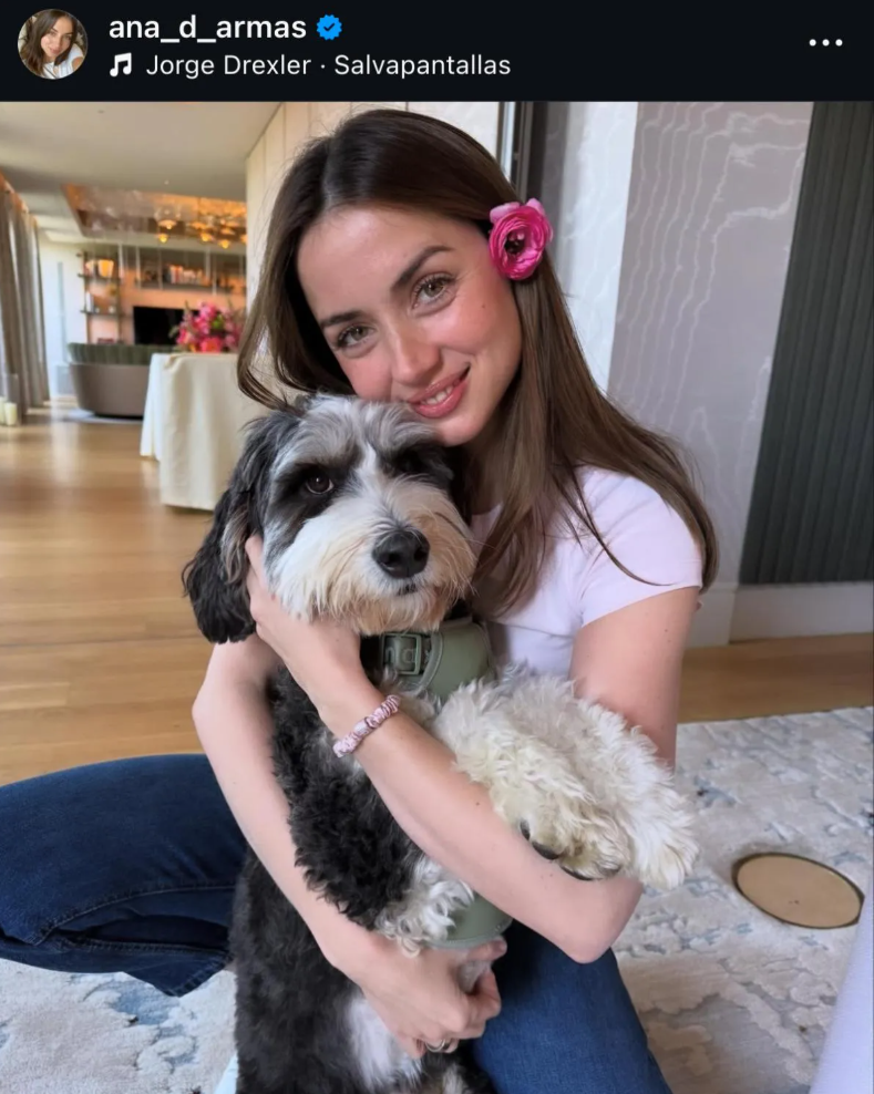 Capture decran 2025 08 05 043112 Tom Cruise en couple avec une actrice populaire de 36 ans ?