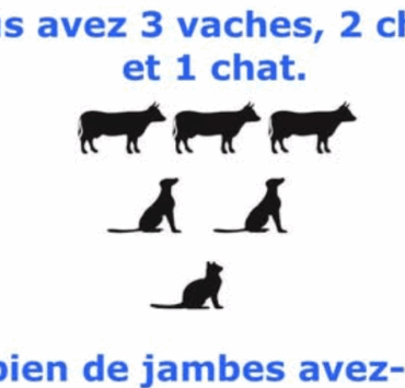Ce casse-tête piège tout le monde : seuls les plus attentifs trouvent la bonne réponse ! 2 Ce casse-tête piège tout le monde : seuls les plus attentifs trouvent la bonne réponse ! Capture decran 2025 08 06 054812 1 Ce casse-tête piège tout le monde : seuls les plus attentifs trouvent la bonne réponse !