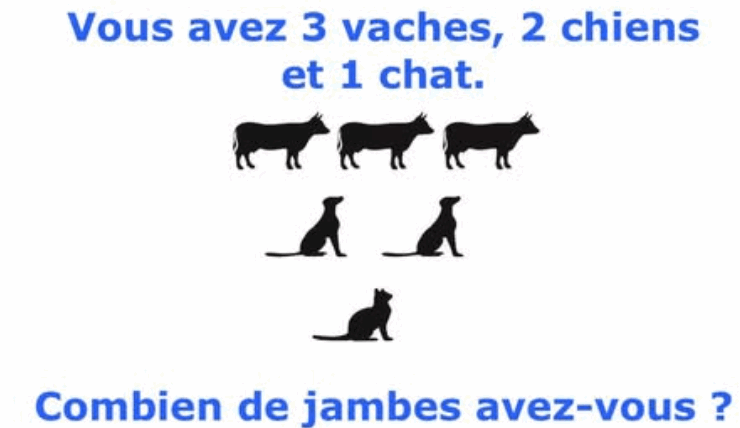 Capture decran 2025 08 06 054812 1 Ce casse-tête piège tout le monde : seuls les plus attentifs trouvent la bonne réponse !