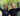 Capture decran 2025 08 14 163631 De grandes nouvelles pour Isabelle Gauvin et Luc Poirier… et elles tombent le même jour!