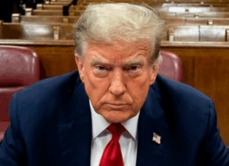 Capture decran 2025 08 29 203319 Trump frappé de plein fouet : ses droits de douane jugés illégaux